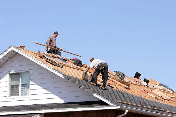 Best Green or Eco-Friendly Roofing Solutions  in Ozark, MO