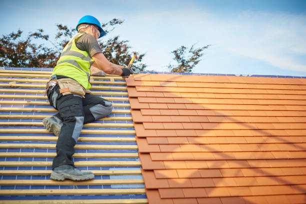 Best Asphalt Shingle Roofing  in Ozark, MO